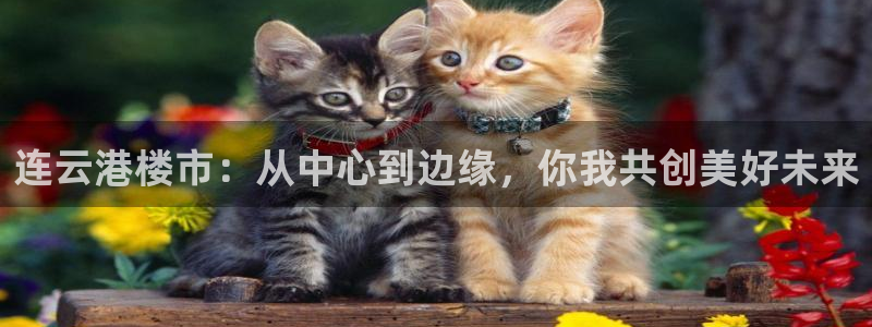 新宝5平台注册公司：连云港楼市：从中心到边缘，你我共创美好未