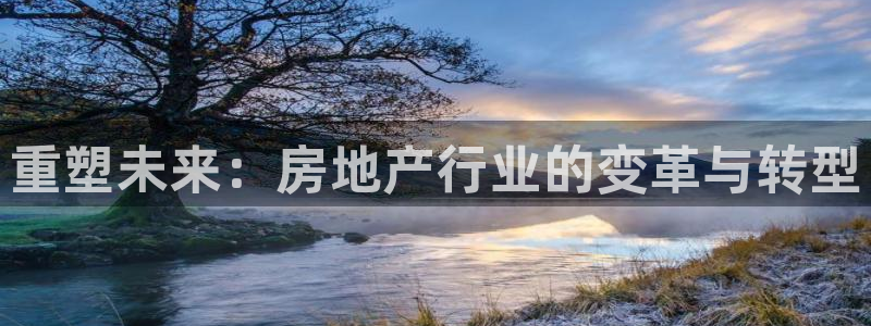 新宝5手机app：重塑未来：房地产行业的变革与转型