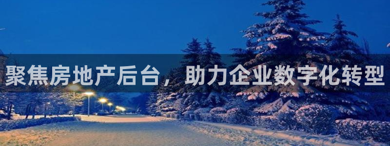 新宝5唯一：聚焦房地产后台，助力企业数字化转型