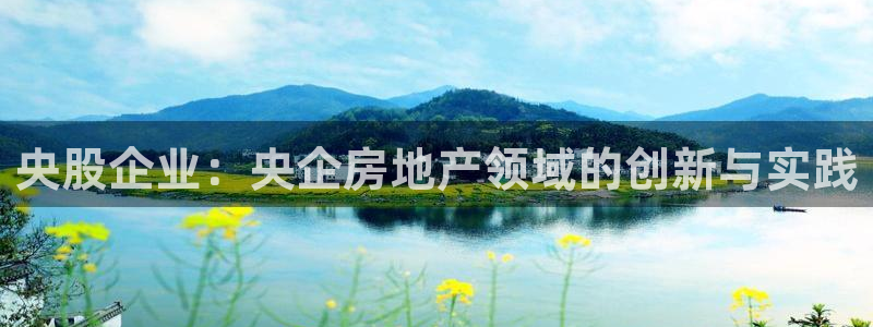 下载新宝5：央股企业：央企房地产领域的创新与实践