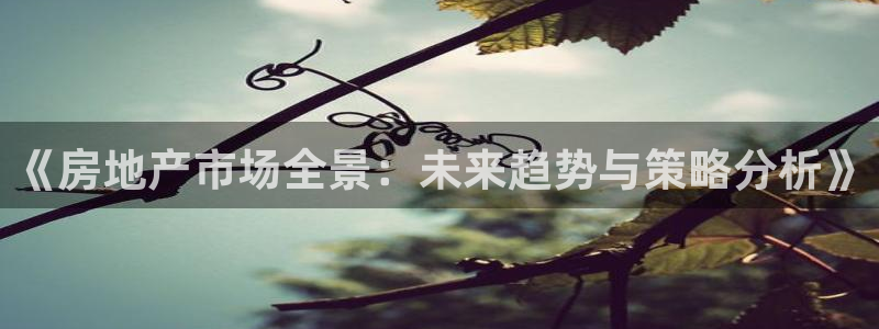 皇冠新宝5：《房地产市场全景：未来趋势与策略分析》