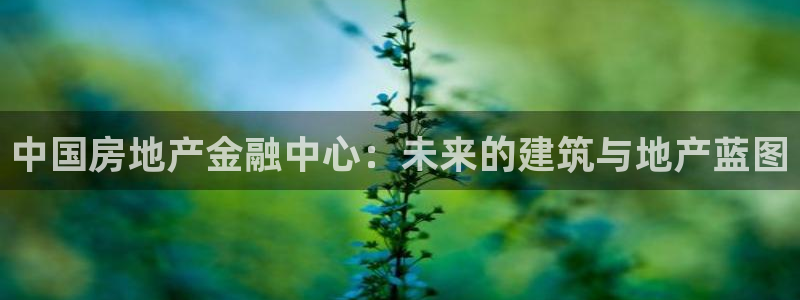 新宝5测试：中国房地产金融中心：未来的建筑与地产蓝图
