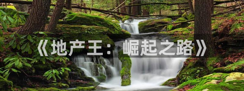 新宝5登陆地址：《地产王：崛起之路》