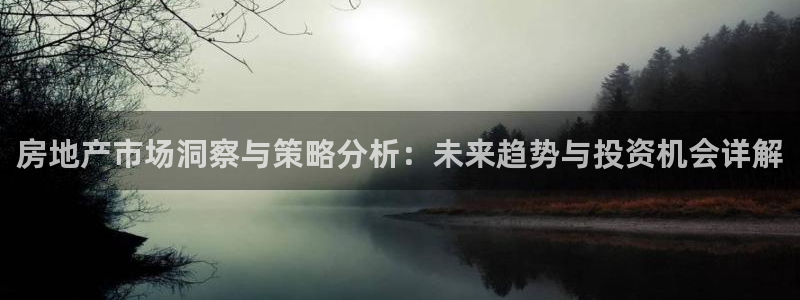 新宝5线路：房地产市场洞察与策略分析：未来趋势与投资机会详解