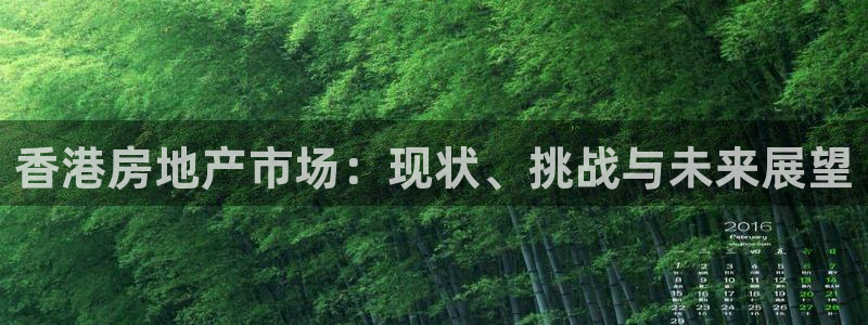 新宝5直属：香港房地产市场：现状、挑战与未来展望