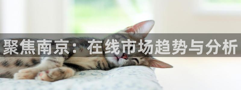 新宝5官方：聚焦南京：在线市场趋势与分析