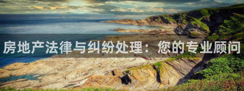 新宝5 888：房地产法律与纠纷处理：您的专业顾问