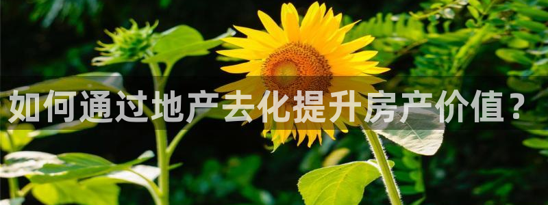 新宝5什么时候上市：如何通过地产去化提升房产价值？