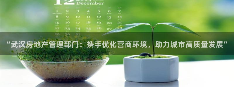 5新宝：“武汉房地产管理部门：携手优化营商环境，助力城市高质
