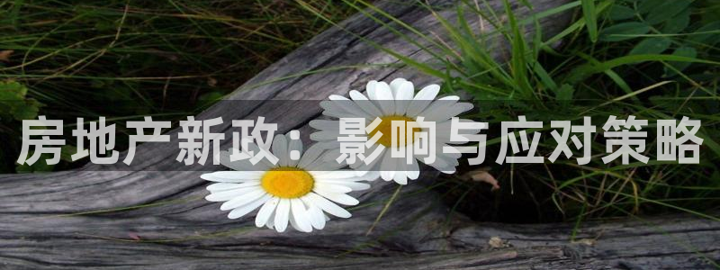 新宝5是什么：房地产新政：影响与应对策略