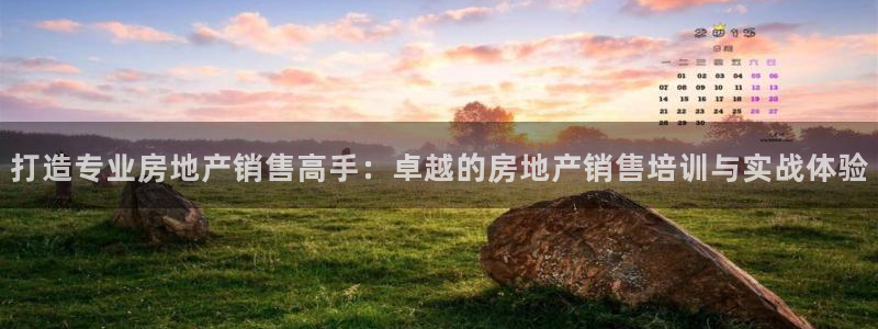 新宝5平台登录下载软件：打造专业房地产销售高手：卓越的房地产