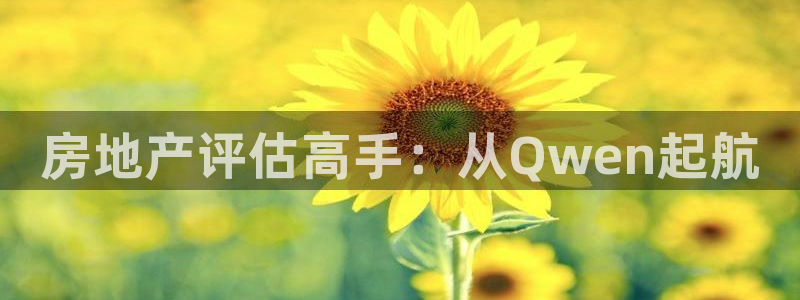新宝股东瞧听2 5 5：房地产评估高手：从Qwen起航