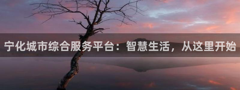 新宝5得74OOO5：宁化城市综合服务平台：智慧生活，从这里