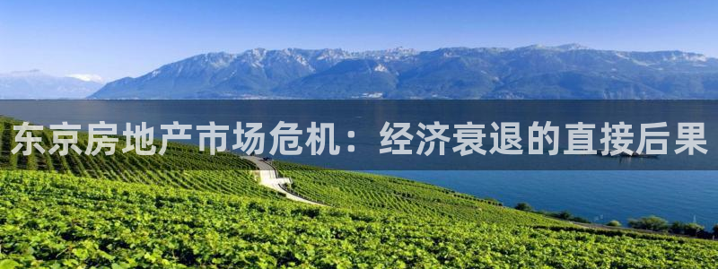 新宝5手机平台登陆：东京房地产市场危机：经济衰退的直接后果