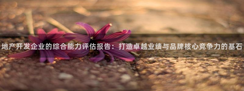 新宝5网：地产开发企业的综合能力评估报告：打造卓越业绩与品牌