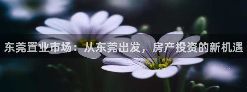 新宝5直属：东莞置业市场：从东莞出发，房产投资的新机遇