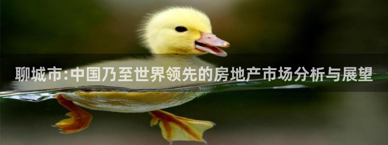 新宝5分彩：聊城市:中国乃至世界领先的房地产市场分析与展望