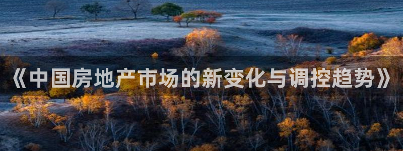 新宝xb5：《中国房地产市场的新变化与调控趋势》
