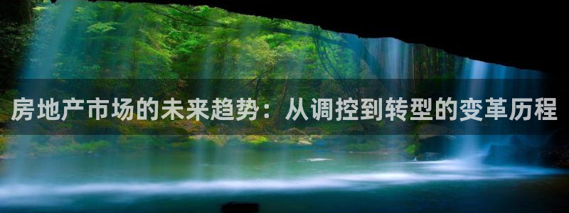 新宝那2O5O5O：房地产市场的未来趋势：从调控到转型的变革
