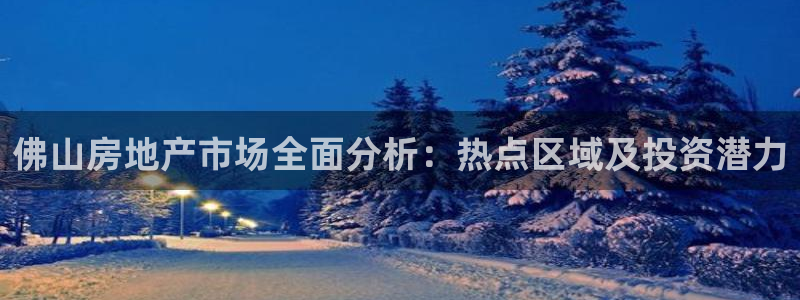 新宝5公司：佛山房地产市场全面分析：热点区域及投资潜力