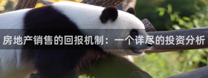有人知道新宝5么：房地产销售的回报机制：一个详尽的投资分析