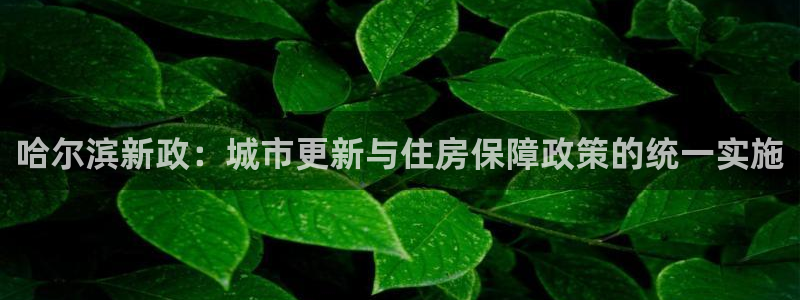 新宝5手机app：哈尔滨新政：城市更新与住房保障政策的统一实