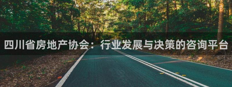 新宝那2O5O5O：四川省房地产协会：行业发展与决策的咨询平