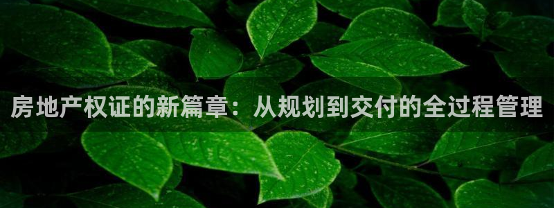 菲律宾新宝5老板：房地产权证的新篇章：从规划到交付的全过程管