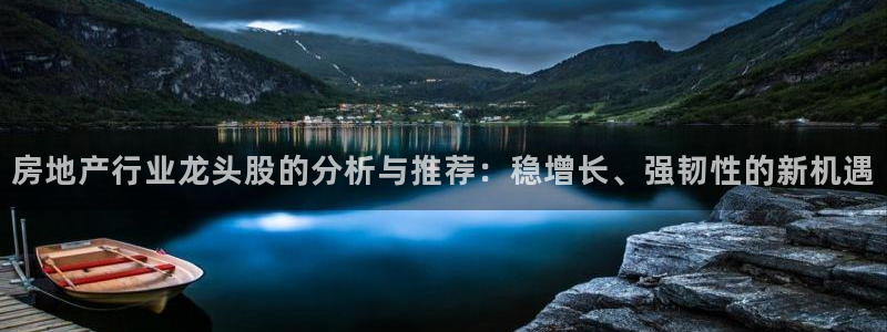 新宝b2O5O5O：房地产行业龙头股的分析与推荐：稳增长、强