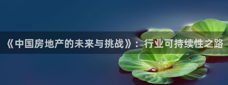 新宝5登录霸：《中国房地产的未来与挑战》：行业可持续性之路