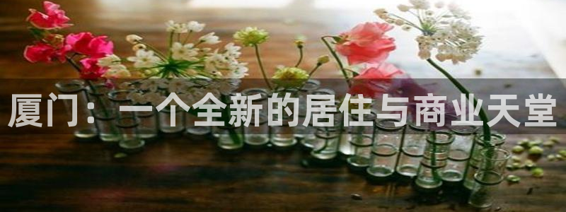 新宝5注册平台：厦门：一个全新的居住与商业天堂