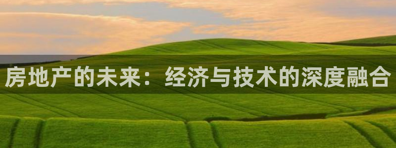 新宝5官方网站：房地产的未来：经济与技术的深度融合
