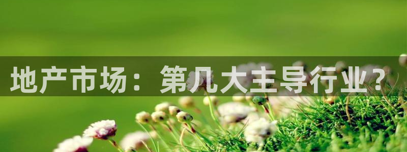 新宝5电脑：地产市场：第几大主导行业？