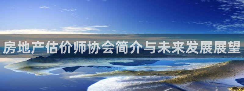 新宝5月：房地产估价师协会简介与未来发展展望