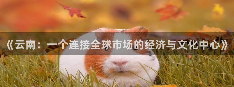 新宝5怎么下载到桌面：《云南：一个连接全球市场的经济与文化中