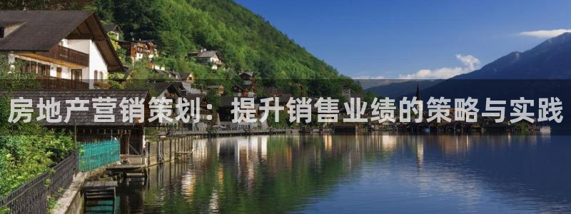 新宝5如何注册：房地产营销策划：提升销售业绩的策略与实践