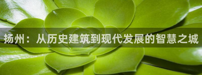 新宝5：扬州：从历史建筑到现代发展的智慧之城