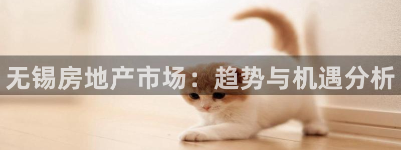 新宝5手机平台登陆：无锡房地产市场：趋势与机遇分析